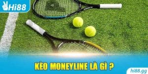 Kèo Moneyline Là Gì? Giải Đáp Một Số Vấn Đề Về Kèo Cược