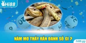 Nằm Mơ Thấy Rắn Đánh Số Gì? Ý Nghĩa Thực Sự Đằng Sau Đó